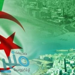 مكة.. مصادرة وإتلاف 70 عربة خشبية للباعة الجائلين في حوش بكر