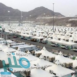 “الجمارك” تكشف عن نوعية المركبات الممنوع دخولها إلى المملكة.. وتوضح آلية الاعتراض