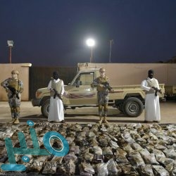 السلطات السودانية تعتقل رئيس حزب البشير المكلف إبراهيم محمود