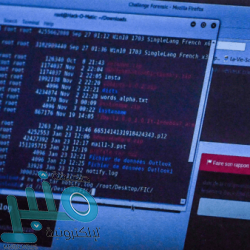 إنفلونزا وكورونا.. تحذير من “برميل مزدوج” في أميركا بالشتاء