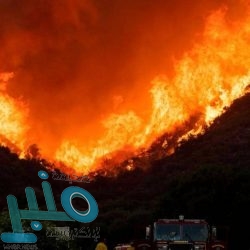 «حساب المواطن» يوضح كيفية الاستفادة من الدعم لمواطن مُسجل بـ«التأمينات»