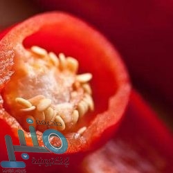 بايرن ميونخ يحقق رقما فريدا بدوري أبطال أوروبا