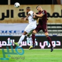 مصر.. القضاء على 77 مسلحًا خلال عمليات مكافحة الإرهاب