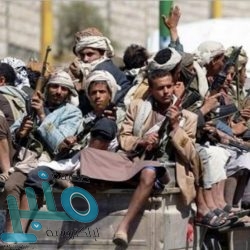 الفيصلي يحسم صفقة هولندية لموسمين