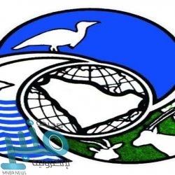 شرطة المدينة توقف شخصًا أحرق مركبة مواطن