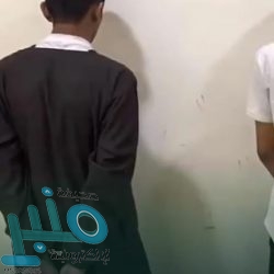 النقد تصدر تقرير أداء قطاع التأمين للربع الأول من 2020