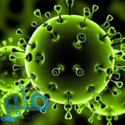 «التعليم» توجه ببدء اليوم الدراسي عند التاسعة بدلًا من السابعة