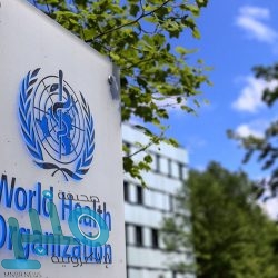 الشباب يقترب من التعاقد مع نجم سامبدوريا