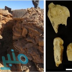 بلدية الشرائع تواصل حملاتها على الباعة الجائلين