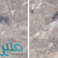 “النيابة العامة”: النظام الجديد لمكافحة التستر يسهم في رفع كفاءة أوجه الحماية الجنائية