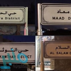 “الحبوب” تبدأ صرف مستحقات الدفعة الرابعة لمزارعي القمح المحلي لهذا الموسم