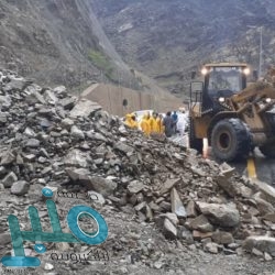 شرطة الحدود الشمالية: تغريم 27 مخالفًا