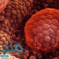 عقوبات تنتظر ميسي حال غيابه عن تدريبات برشلونة