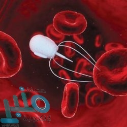 غرفة الرياض توفر 94 وظيفة شاغرة للجنسين لحملة الثانوية فما فوق