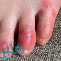 سامسونغ تكشف عن أحدث هواتفها بالمواصفات والمميزات.. رسميًا (صور)