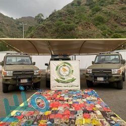 “الصحفيين”: اتخذنا إجراءات لحماية المهنة ممن ينتحلون صفة “إعلامي”