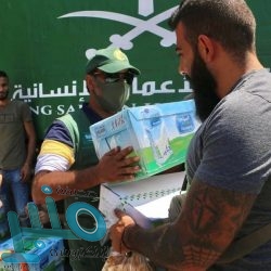 “البيئة” تعلن تخطي الإبل المرقمة حاجز المليون