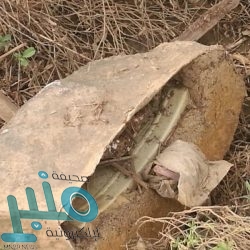 الجامعة الإلكترونية تعلن فتح باب القبول لدرجة الماجستير في عدد من التخصصات