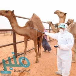 أمير الحدود الشمالية يهنئ القيادة بمناسبة اكتشاف “حقل أبرق التُّلول ” في عرعر