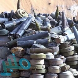 ضبط 87 مخالفًا يمارسون الذبح العشوائي في الدمام