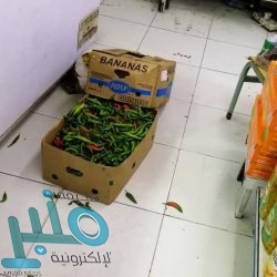 القبض على مواطن قام بتعاطي مواد مخدرة وتوثيق ذلك ونشره