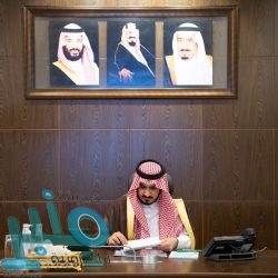 بقيمة تجاوزت 172 مليون ريال .. الأمير حسام بن سعود يفتتح 8 مخططات سكنية في الباحة