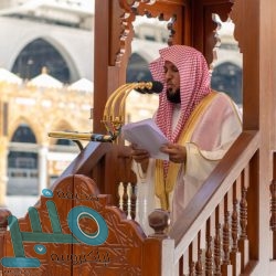 القبض على 9 مقيمين امتهنوا تجميع مركبات مجهولة المصدر وتفكيكها وبيعها قطع غيار