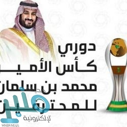 بمناسبة اليوم العالمي للشباب 2020 .. “الإحصاء تصدر تقرير “الشباب السعودي بالأرقام”