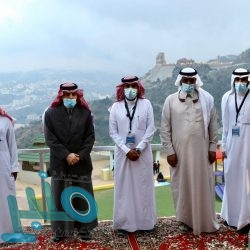 التأمينات الاجتماعية: على المنشأة الأقل تضرراً خفض نسبة السعوديين المدعومين إلى 50%