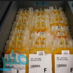 الحقيل يزور مهرجان العربات المتنقلة والأسر المنتجة في الباحة