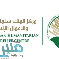 “التعاون الإسلامي” تدين إطلاق ميليشيا الحوثي طائرة مفخخة باتجاه المملكة