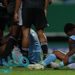 فوائد الأعشاب الطبيعية للجسم عديدة.. تعرف عليها