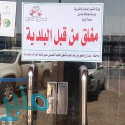 وزير الصحة: المملكة وضعت مواجهة الأوبئة كأولوية رئيسية خلال رئاستها لمجموعة العشرين