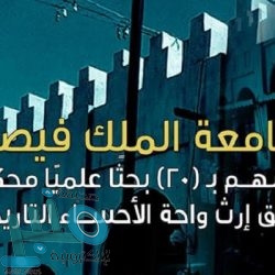 أمانة تبوك تصادر ما يزيد على 337 كيلوجرامًا من الأغذية منتهية الصلاحية