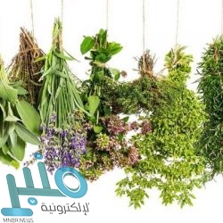 خسارة مانشستر سيتي أمام ليون تُخلف العديد من المفارقات في دوري أبطال أوروبا