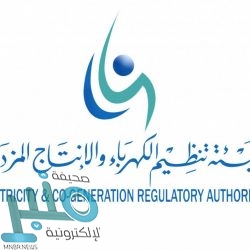 “السعودية للكهرباء”: تركيب العدادات الذكية يسير وفق الخطط الموضوعة