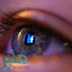 “غوغل” تستضيف حدثا افتراضيا في 30 سبتمبر للكشف عن هاتف Pixel 5 ومنتجات أخرى