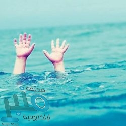 القيادة تعزي رئيس أوكرانيا في ضحايا حادث تحطم طائرة