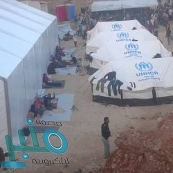 أمير الباحة ووزير الرياضة يفتتحان ورشة عمل عن تطوير الرياضة في المنطقة