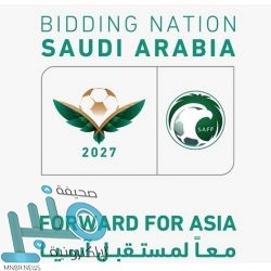 قرقاش: هناك قناعة عربية بوقف التدخل التركي والإيراني في العراق