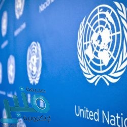 الجيش اليمني يسيطر على مركز قيادة وغرفة اتصالات عسكرية للحوثيين في محافظة الجوف