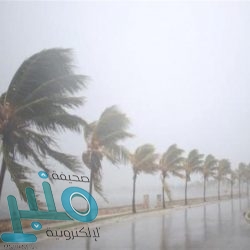 الاتحاد الألماني لكرة القدم يصدر قرارًا جديدًا بشأن عودة الجماهير