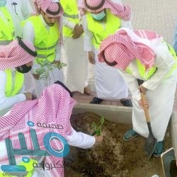 النصر يتعادل مع السد في دوري أبطال آسيا 2020