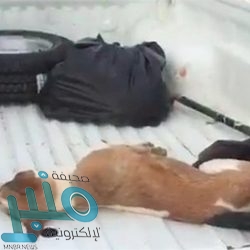 حالة الطقس المتوقعة في المملكة اليوم الخميس