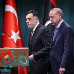 هيئة الرقابة ومكافحة الفساد تباشر (227) قضية جنائية