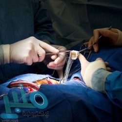 8 عناصر غذائية مفيدة لصحة قلبك.. تعرف عليها‎