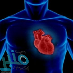 خطوات يجب اتباعها فور فقدان الهاتف أو سرقته