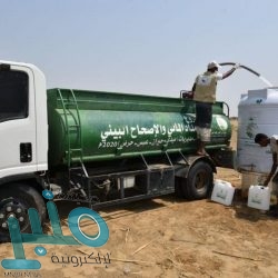 الرئيس اليمني: قطعنا شوطا في تنفيذ اتفاق الرياض بدعم غير محدود من المملكة