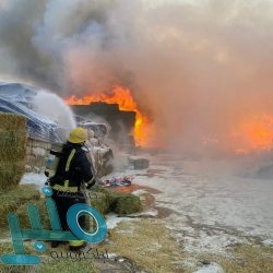 شاهد.. محمد صلاح يعلق على أهدافه عقب مباراة ليفربول ضد ليدز