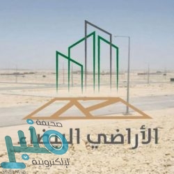 بنقرة واحدة.. كيف تتعرف على الأشخاص الذين اقتبسوا تغريدتك؟